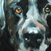 tattoo galleries/ - nero - 46457